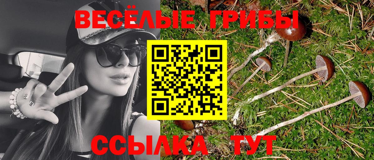 Псилоцибиновые грибы Cubensis  Вход с VPN  Псилоцибиновые грибы ЛСД  Пенза 
