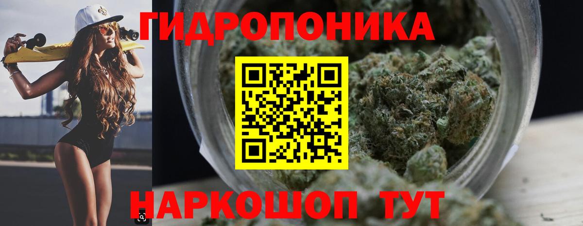 Бошки Шишки семена  Бошки марихуана THC 21%  Шишки марихуана индика  Пенза  Вход с VPN 
